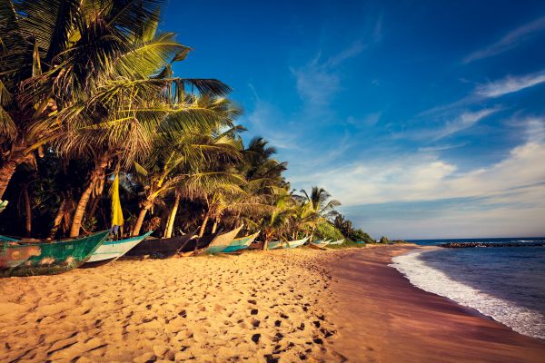 Plaz Sri Lanka